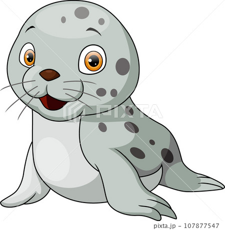 Cute baby seal on white background 107877547