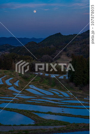 【千葉県】田に水の入った大山千枚田・月夜 107878035