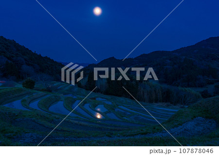 【千葉県】田に水の入った大山千枚田・月夜 【千葉県】田に水の入った大山千枚田・月夜 107878046