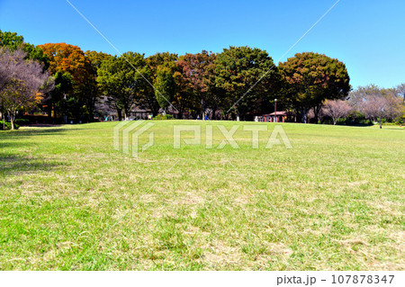 都立 東村山中央公園 中央広場(東京都東村山市)【2023.10】 107878347