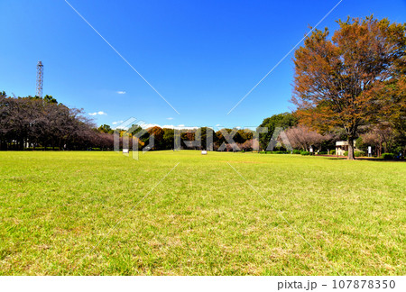 都立 東村山中央公園 中央広場(東京都東村山市)【2023.10】 107878350