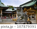 神社の狛犬 こまいぬ 107879391