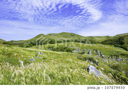 ススキが風に揺れる秋の美しい平尾台（福岡県北九州市） 107879930