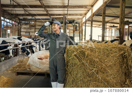 酪農牧場で働く男性 107880014