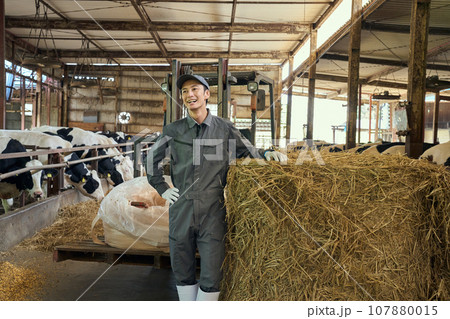酪農牧場で働く男性 107880015