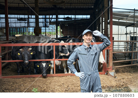 酪農牧場で働く男性 酪農牧場で働く男性 107880603