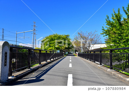 多摩湖自転車歩行者道/狭山堀橋(空堀川)付近より武蔵大和駅方向を(東京都東村山市)【2023.10】 多摩湖自転車歩行者道/狭山堀橋(空堀川)付近より武蔵大和駅方向を(東京都東村山市)【2023.10】 107880984