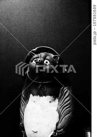 信楽焼の狸人形　白黒写真 107881689