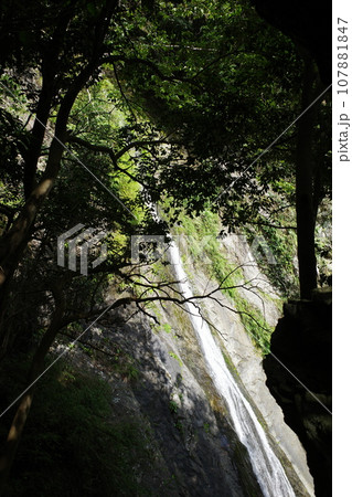 上から見た檜原村の天狗滝 上から見た檜原村の天狗滝 107881847