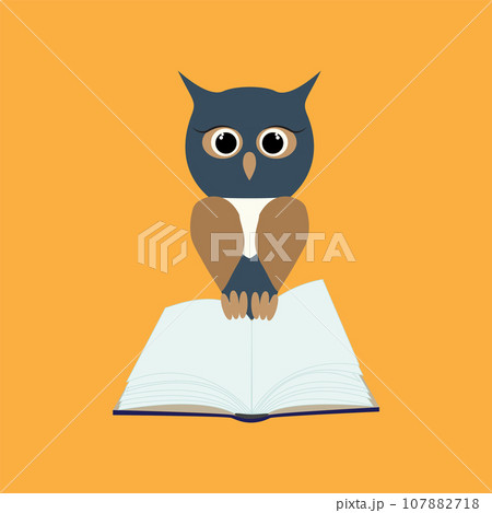 Owl on open empty book. Vector owl character flat design Owl on open empty book. Vector owl character flat design 107882718