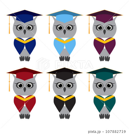 Set of owl in a graduate hats and mantles of different colors. Vector owl character in professors, mortar in master cap Set of owl in a graduate hats and mantles of different colors. Vector owl character in professors, mortar in master cap 107882719
