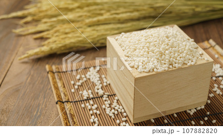 もち米と稲穂 107882820