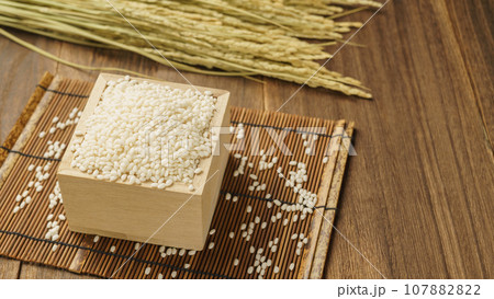 もち米と稲穂 107882822