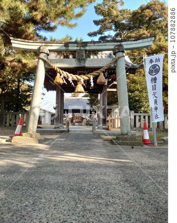 神社、鳥居、境内用 しめ縄 （鼓胴型しめ縄とは？特徴・理由・取り付け 