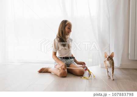 Little beautiful Caucasian mistress of a cornish rex cat, a girl with a happy face in her free time in a relaxed atmosphere holds a toy, playing with a cute cat, sitting on the floor in the living Little beautiful Caucasian mistress of a cornish rex cat, a girl with a happy face in her free time in a relaxed atmosphere holds a toy, playing with a cute cat, sitting on the floor in the living 107883798