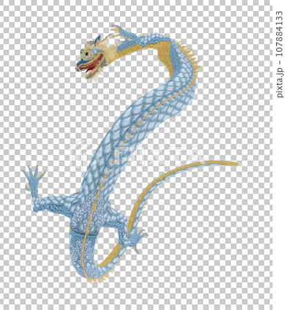 リアルな龍のイラスト リアルな龍のイラスト 107884133