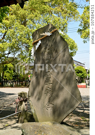 川口散歩：三ツ和氷川神社　川口市三ツ和 107884251