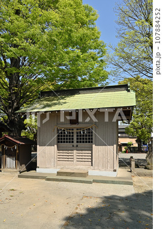 川口散歩：三ツ和氷川神社　川口市三ツ和 107884252
