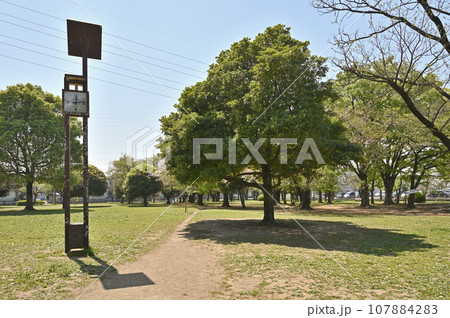川口散歩:三ツ和公園 川口市南鳩ヶ谷 川口散歩:三ツ和公園 川口市南鳩ヶ谷 107884283
