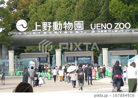 子供だけじゃない、心なごむ上野動物園。 子供だけじゃない、心なごむ上野動物園。 107884916