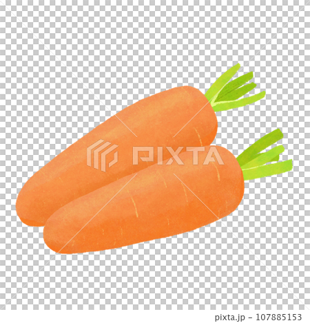ニンジンのイラスト ニンジンのイラスト 107885153