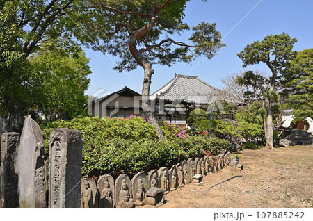 川口散歩:実正寺 真言宗智山派 川口市南鳩ヶ谷 川口散歩:実正寺 真言宗智山派 川口市南鳩ヶ谷 107885242