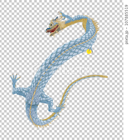 Realistic dragon illustration Realistic dragon illustration 107885519