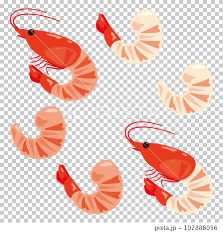 むき海老セット 107886056