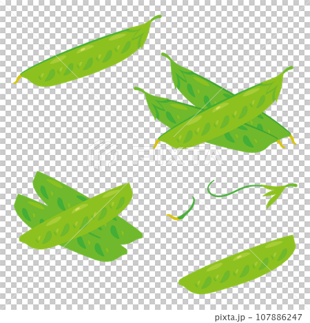 絲綢護套套裝 107886247