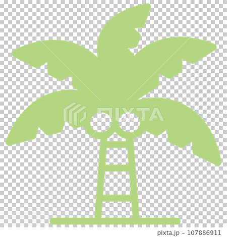 Palm tree icon 107886911