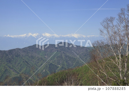 しらびそ高原より南アルプスを望む しらびそ高原より南アルプスを望む 107888285
