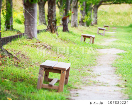 木漏れ日と素朴なベンチ　自然風景 107889224