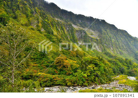 悪城の壁/悪城壁(富山県立山町)【2023.10】 悪城の壁/悪城壁(富山県立山町)【2023.10】 107891341