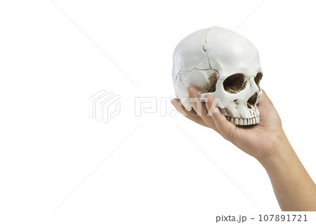 Hand holding human head skull Hand holding human head skull 107891721