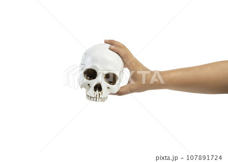 Hand holding human head skull Hand holding human head skull 107891724