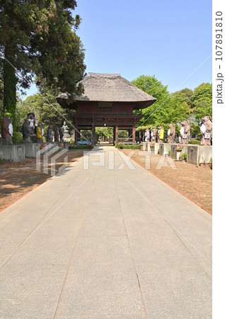 茂林寺 曹洞宗 分福茶釜の寺 群馬県館林市 茂林寺 曹洞宗 分福茶釜の寺 群馬県館林市 107891810