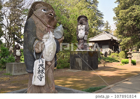 茂林寺 曹洞宗 分福茶釜の寺 群馬県館林市 茂林寺 曹洞宗 分福茶釜の寺 群馬県館林市 107891814