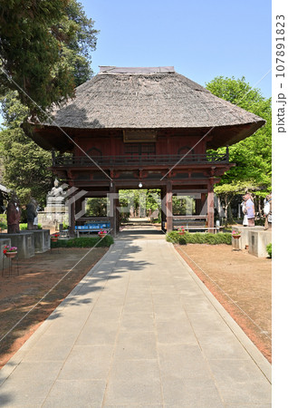 茂林寺 曹洞宗　分福茶釜の寺　群馬県館林市 107891823