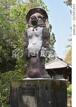 茂林寺 曹洞宗 分福茶釜の寺 群馬県館林市 茂林寺 曹洞宗 分福茶釜の寺 群馬県館林市 107891825