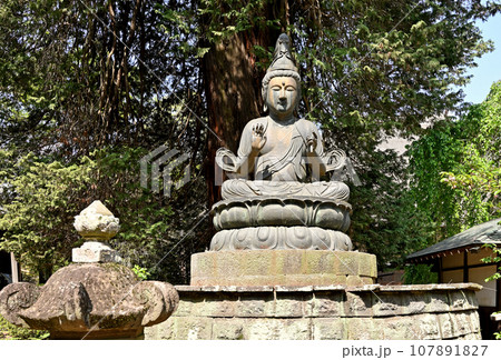 茂林寺 曹洞宗 分福茶釜の寺 群馬県館林市 茂林寺 曹洞宗 分福茶釜の寺 群馬県館林市 107891827
