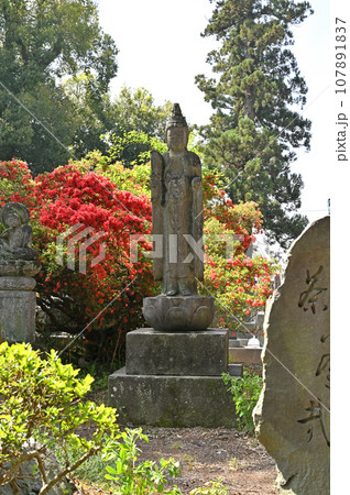 茂林寺 曹洞宗 分福茶釜の寺 群馬県館林市 茂林寺 曹洞宗 分福茶釜の寺 群馬県館林市 107891837