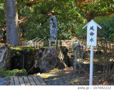 秋の奥日光 中禅寺立木観音 延命水 秋の奥日光 中禅寺立木観音 延命水 107892222