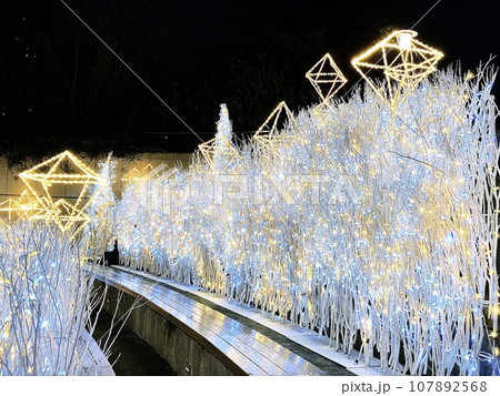 煌めく草原 煌めく草原 107892568