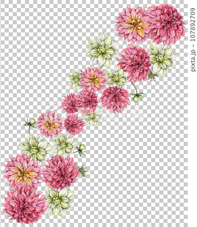 Watercolor dahlia flowers composition. Hand drawn illustration of a blooming flower garden. Design for baby shower party, birthday, cake, holiday celebration design, posters,greetings card,invitation. Watercolor dahlia flowers composition. Hand drawn illustration of a blooming flower garden. Design for baby shower party, birthday, cake, holiday celebration design, posters,greetings card,invitation. 107892709