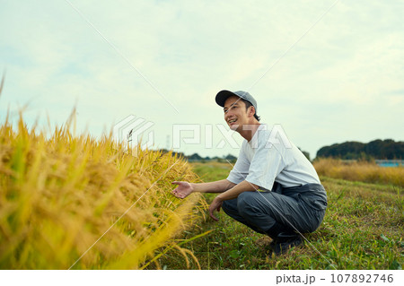 実った稲穂を見つめる男性 107892746