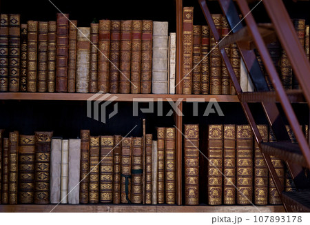 Vienna, Austria, October 2023 107893178