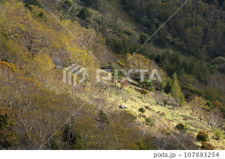 秋の美ヶ原 107893254