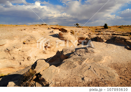 Rugged and Desolate Landscape Petrified Forest Arizona 107893610