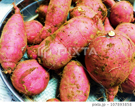 獲れたての薩摩芋 107893858