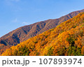 紅葉に彩られた山と秋晴れの青空 107893974